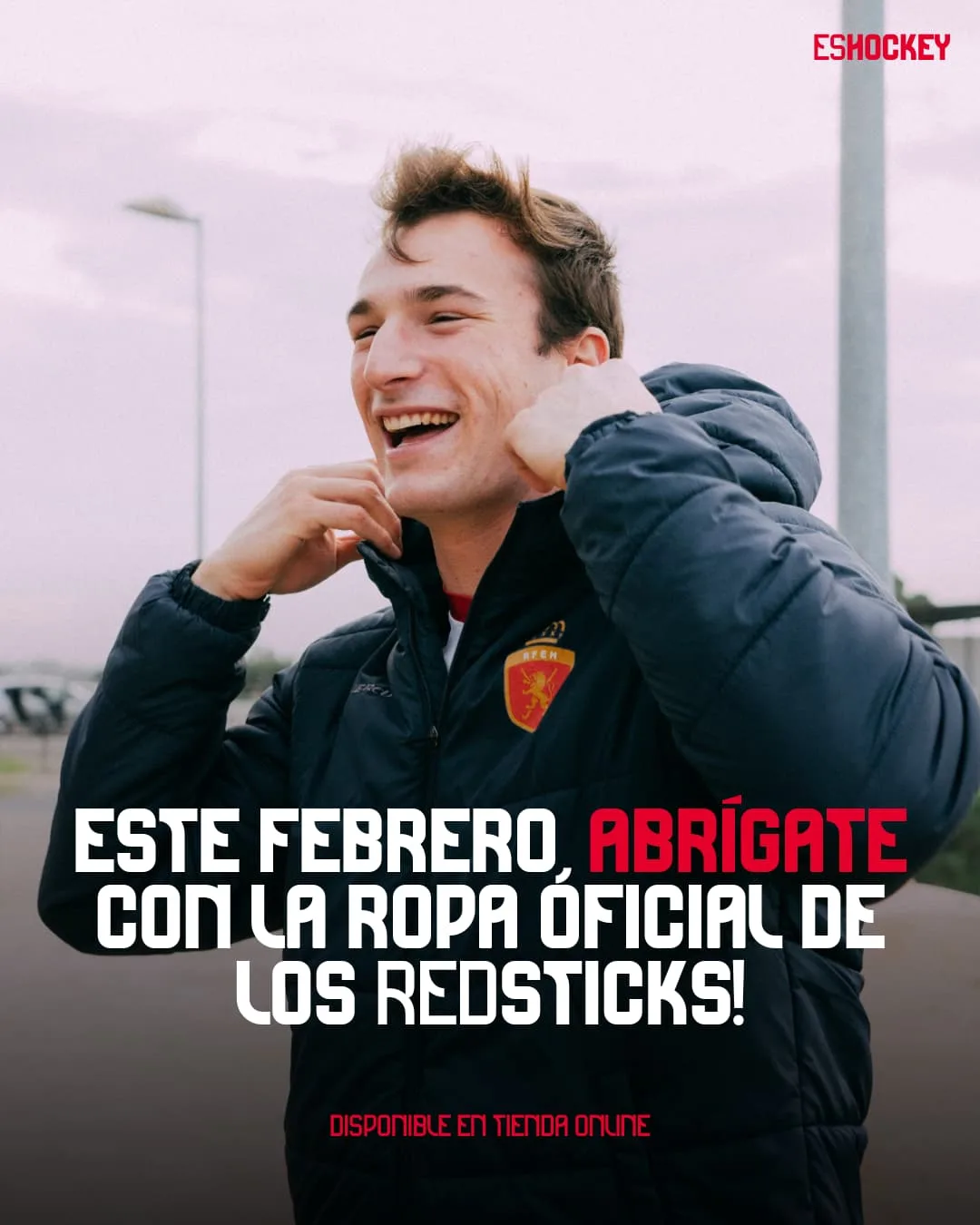 Banners web Store ESHOCKEY